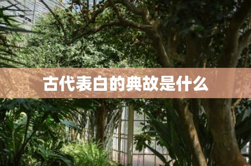 古代表白的典故是什么