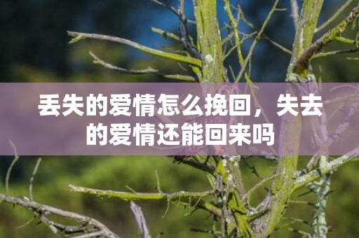 丢失的爱情怎么挽回，失去的爱情还能回来吗