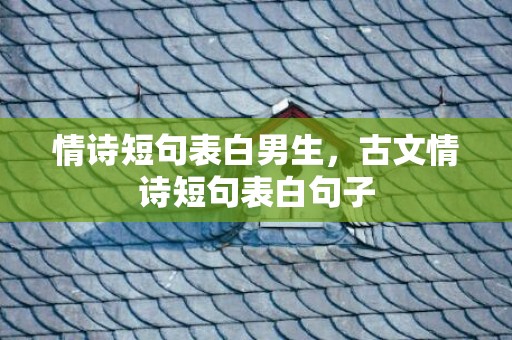 情诗短句表白男生，古文情诗短句表白句子