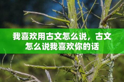 我喜欢用古文怎么说，古文怎么说我喜欢你的话