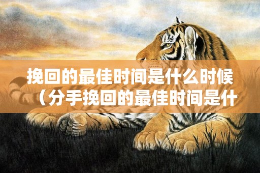 挽回的最佳时间是什么时候（分手挽回的最佳时间是什么时候）