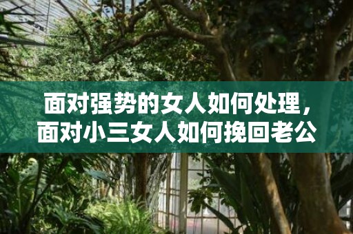 面对强势的女人如何处理，面对小三女人如何挽回老公（当小三女人的下场）