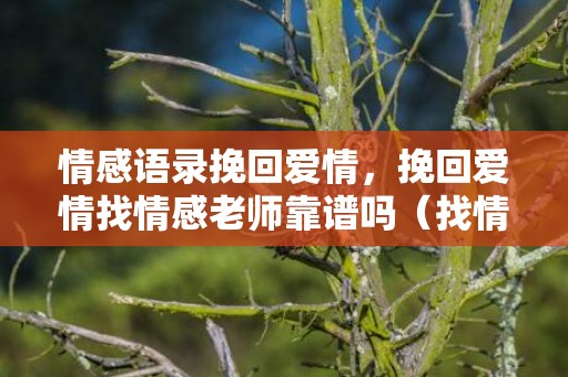 情感语录挽回爱情，挽回爱情找情感老师靠谱吗（找情感挽回机构有意义吗）