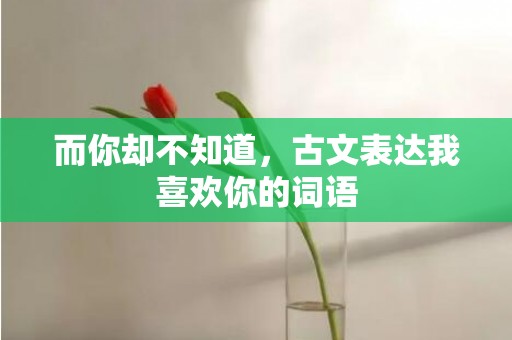 而你却不知道，古文表达我喜欢你的词语