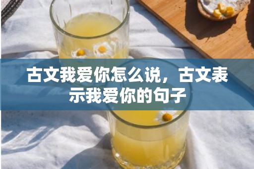 古文我爱你怎么说，古文表示我爱你的句子