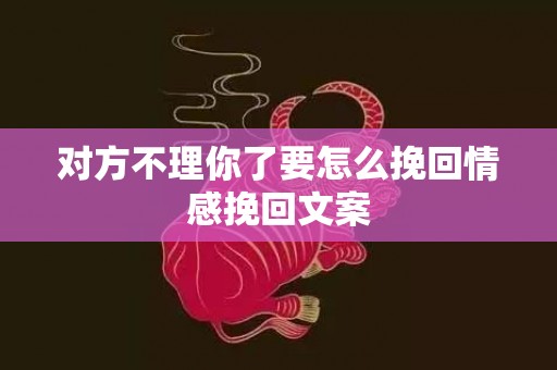 对方不理你了要怎么挽回情感挽回文案