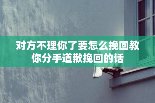 对方不理你了要怎么挽回教你分手道歉挽回的话