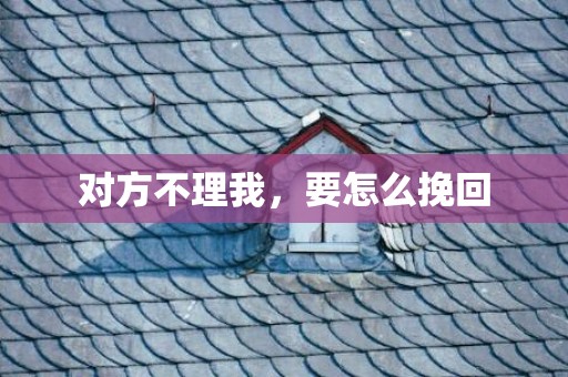 对方不理我，要怎么挽回