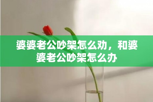 婆婆老公吵架怎么劝，和婆婆老公吵架怎么办