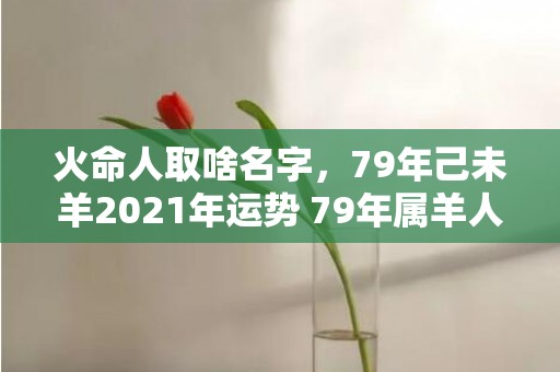 火命人取啥名字，79年己未羊2021年运势 79年属羊人的命理