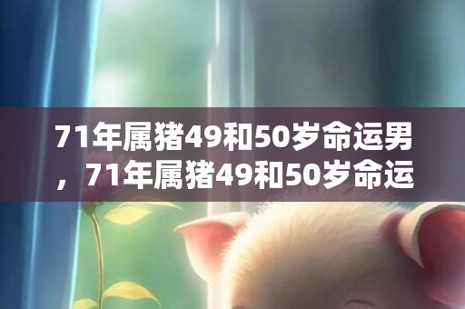 71年属猪49和50岁命运男，71年属猪49和50岁命运 71年属猪人命理