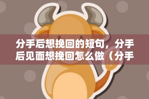 分手后想挽回的短句，分手后见面想挽回怎么做（分手后想挽回该怎么说）