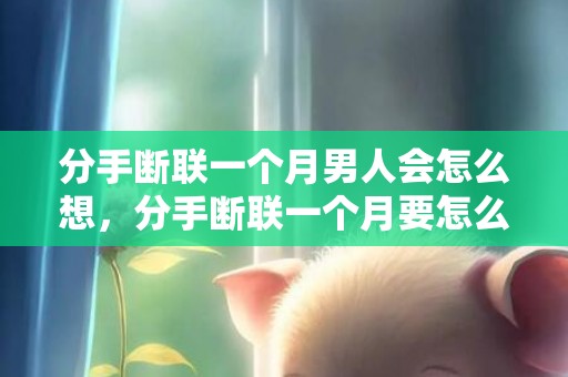 分手断联一个月男人会怎么想，分手断联一个月要怎么挽回（分手断联一个月要怎么挽回女朋友）