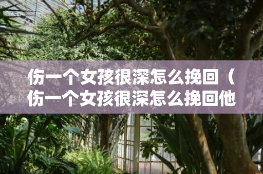 伤一个女孩很深怎么挽回（伤一个女孩很深怎么挽回他）