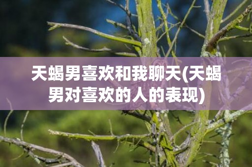 天蝎男喜欢和我聊天(天蝎男对喜欢的人的表现)