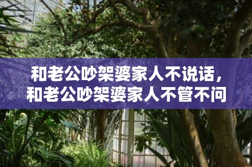 和老公吵架婆家人不说话，和老公吵架婆家人不管不问