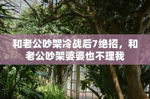 和老公吵架冷战后7绝招，和老公吵架婆婆也不理我