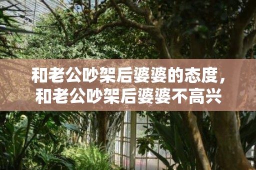 和老公吵架后婆婆的态度，和老公吵架后婆婆不高兴