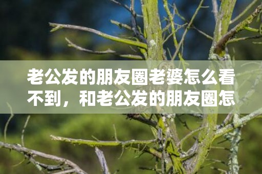 老公发的朋友圈老婆怎么看不到，和老公发的朋友圈怎么发