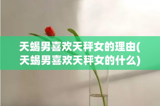 天蝎男喜欢天秤女的理由(天蝎男喜欢天秤女的什么)