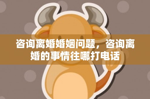 咨询离婚婚姻问题，咨询离婚的事情往哪打电话