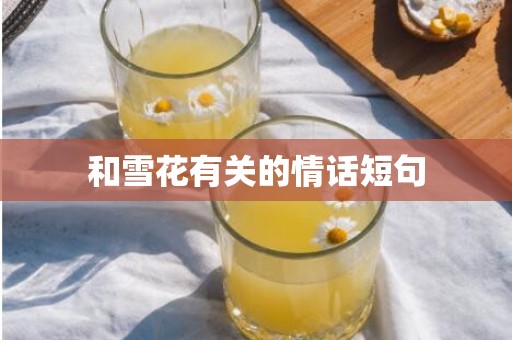 和雪花有关的情话短句