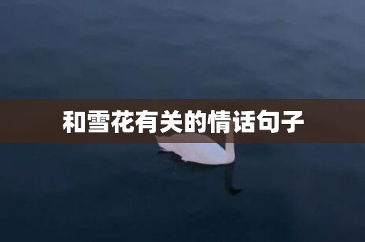 和雪花有关的情话句子