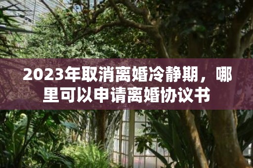 2023年取消离婚冷静期，哪里可以申请离婚协议书