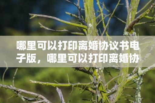 哪里可以打印离婚协议书电子版，哪里可以打印离婚协议