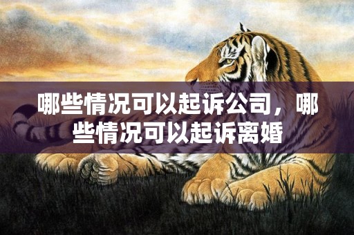 哪些情况可以起诉公司，哪些情况可以起诉离婚