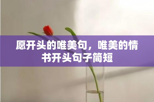 愿开头的唯美句，唯美的情书开头句子简短
