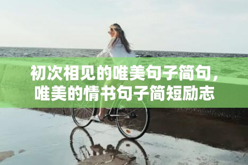 初次相见的唯美句子简句，唯美的情书句子简短励志