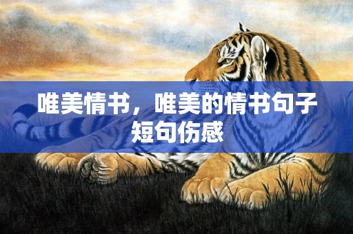 唯美情书，唯美的情书句子短句伤感