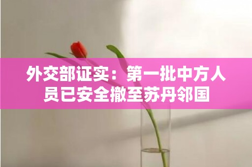 外交部证实：第一批中方人员已安全撤至苏丹邻国