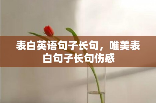 表白英语句子长句，唯美表白句子长句伤感