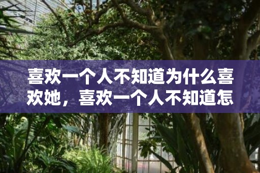 喜欢一个人不知道为什么喜欢她，喜欢一个人不知道怎么办