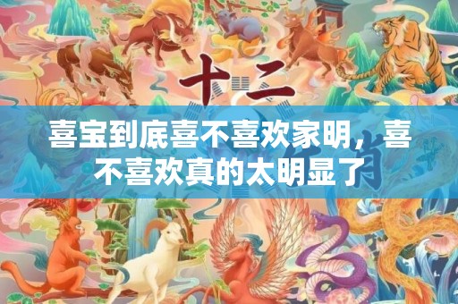 喜宝到底喜不喜欢家明，喜不喜欢真的太明显了