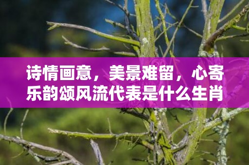诗情画意，美景难留，心寄乐韵颂风流代表是什么生肖，词语解释落实