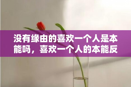 没有缘由的喜欢一个人是本能吗，喜欢一个人的本能反应