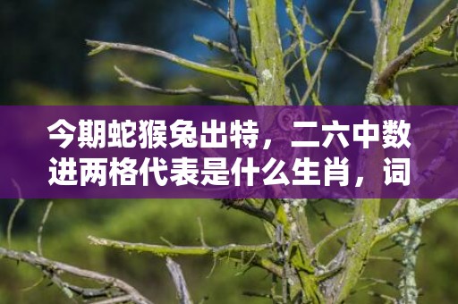 今期蛇猴兔出特，二六中数进两格代表是什么生肖，词语解释落实