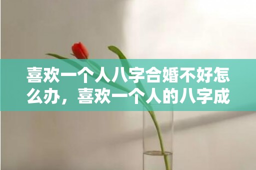 喜欢一个人八字合婚不好怎么办，喜欢一个人的八字成语