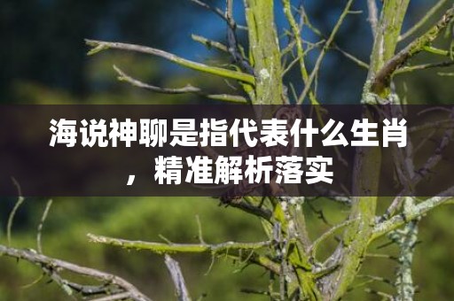 海说神聊是指代表什么生肖，精准解析落实