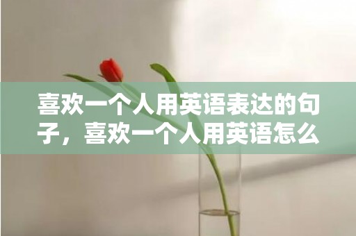 喜欢一个人用英语表达的句子，喜欢一个人用英语怎么写