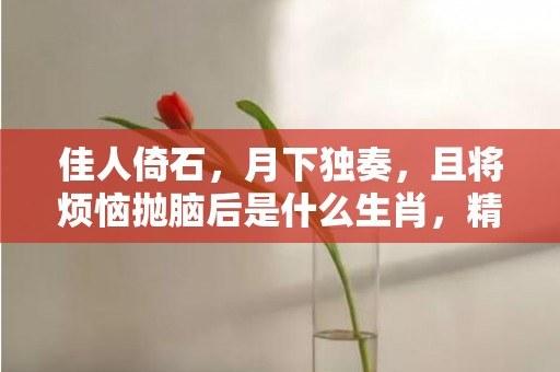 佳人倚石，月下独奏，且将烦恼抛脑后是什么生肖，精准作答落实