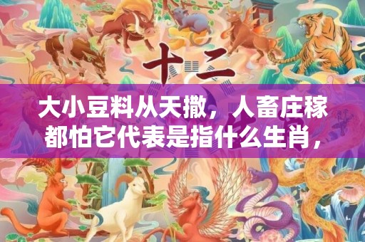 大小豆料从天撒，人畜庄稼都怕它代表是指什么生肖，词语精准落实