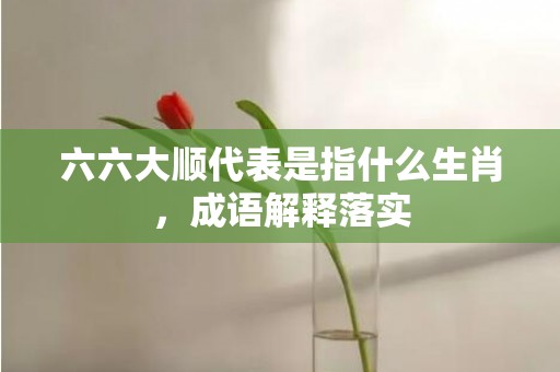 六六大顺代表是指什么生肖，成语解释落实