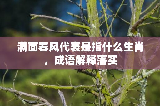 满面春风代表是指什么生肖，成语解释落实