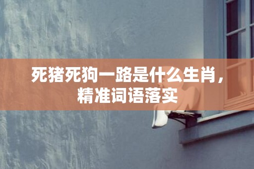 死猪死狗一路是什么生肖，精准词语落实