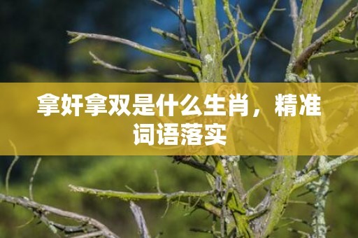 拿奸拿双是什么生肖，精准词语落实