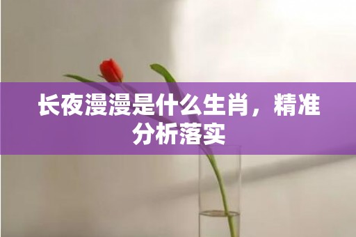 长夜漫漫是什么生肖，精准分析落实